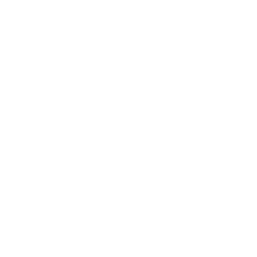Professionalism Icon